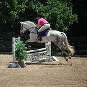 Rebecca Midgett's photo