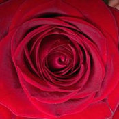 Betsy Black's photo