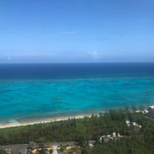 K Rowan's photo