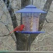 Dawn Dickerson's photo