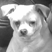 Gary Brown's photo