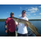 Chris Harrison's photo
