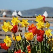 Ethel Havens's photo