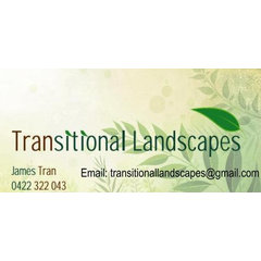 Transitional Landscapes