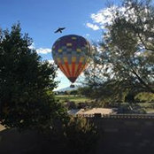 Jim Brauer's photo