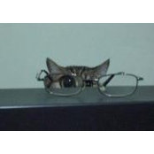 Debbie Funk's photo