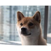 Benjamin Shen's photo