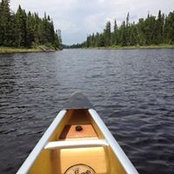 Suzanne Davies's photo