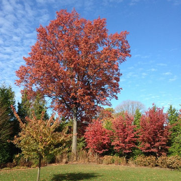 seasonal color