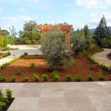 Our Work