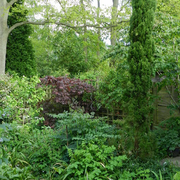Cottage Gardens