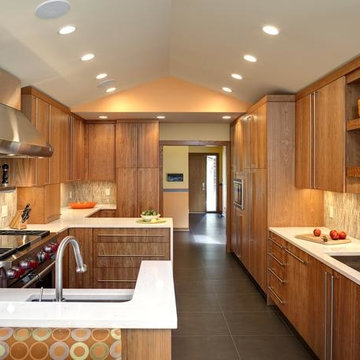 Modern kitchen cabinets Design Remodel