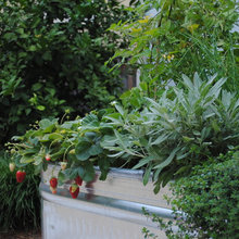 Outdoor Design