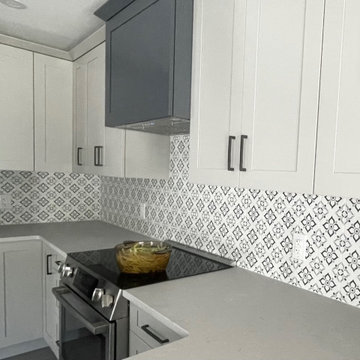 Barrhaven Main Level Renovation