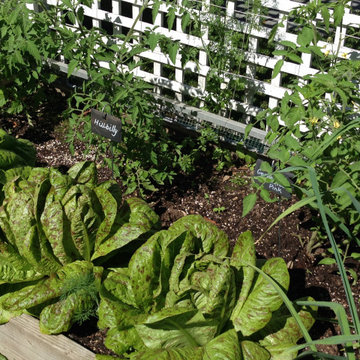 Edible Gardens
