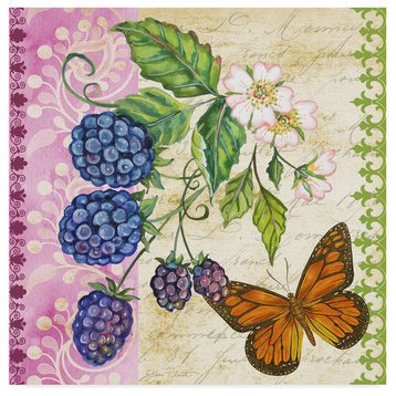 Jean Plout 'Vintage Fruit Blackberries' Canvas Art