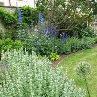 Design ideas for a traditional garden in Other with with lawn edging.