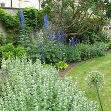 GARDEN Ideas
