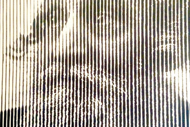 Portrait of the Learned Rabbi