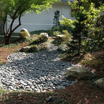 Doren's Zen Garden