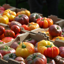 Produce