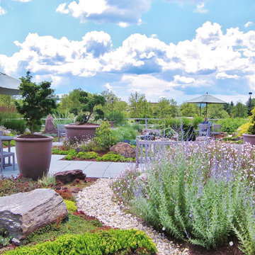 ROOFTOP HEALING GARDEN / A Long Term Heritage Project