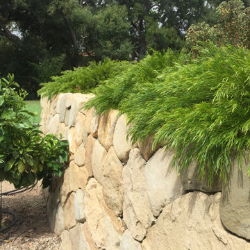 San Roque Contemporary Landscape Renovation