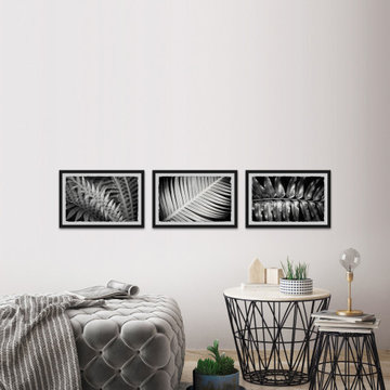 Leaf Types Triptych