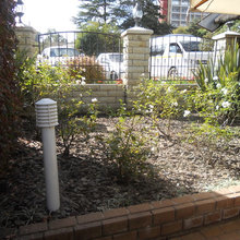 Landscape Ideas