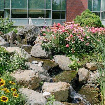 Water Feature and Perennial Gardens