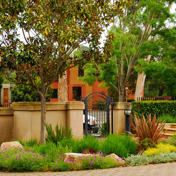 Mediterranean Estate Garden