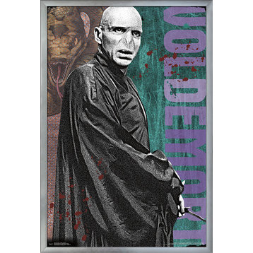 Harry Potter Graphic Voldemort Poster, Silver Framed Version