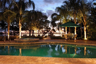 This is an example of a large tropical pool in Orlando.