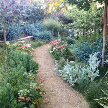 Mystical Habitat Garden