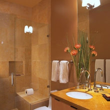 tp holder