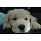 Nancy Bentley's photo