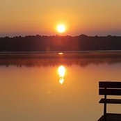 Dalene Crandall's photo
