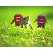 Marianne Holt-Phoenix's photo