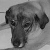 Barbara Grass's photo