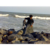 Ravi Kiran's photo