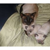 Lee-ann Fisher Trenberth's photo
