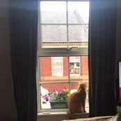 Aisling Bishop's photo