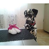 Moon Guib's photo