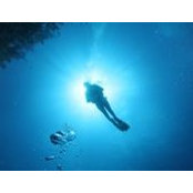 Lynda Johnson's photo