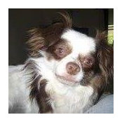 Lisa Patti's photo
