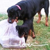 Christin Ball's photo