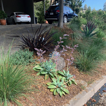 Slope Stabilized with Grasses and Ground Covers
