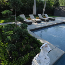 Pools and Yard
