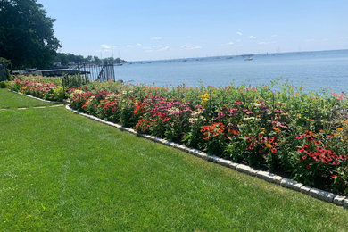 Photo of a beach style garden in Bridgeport.