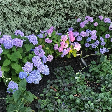 GROW
